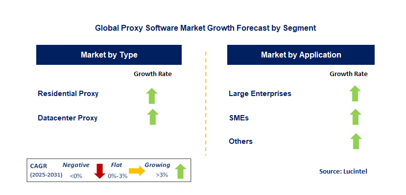 Proxy Software Market by Segment